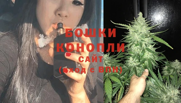молекула духа Сосновый Бор