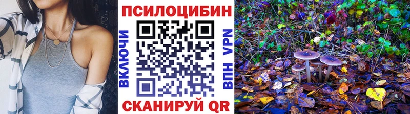 Псилоцибиновые грибы Psilocybine cubensis  Славгород 