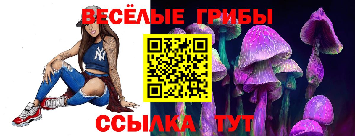 Славгород  Псилоцибиновые грибы Psilocybine cubensis  Вход с VPN 