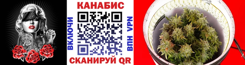 Бошки марихуана ГИДРОПОН  где купить   Славгород 